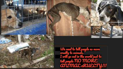 Screen Shot 2018-03-14 at 9.44.17 PM