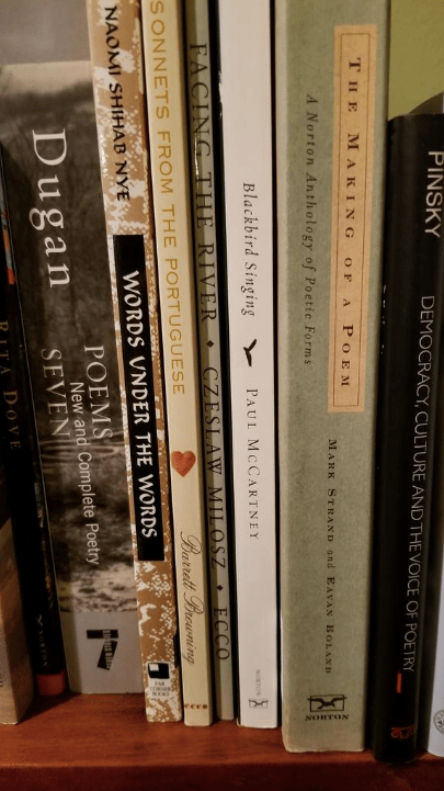 Screen Shot 2018-04-17 at 6.42.29 AM